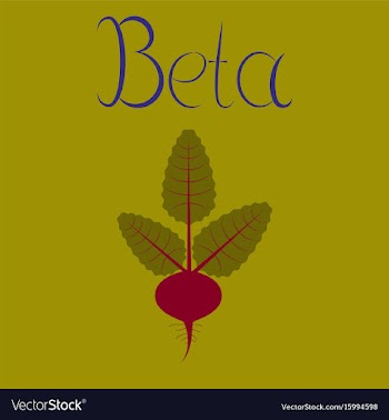 Flat on background plant beta vector image