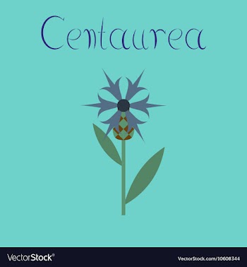 Flat on background plant flower vector image