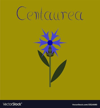 Flat on background plant flower vector image