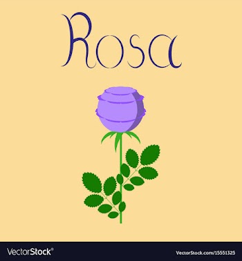 Flat on background plant rosa vector image