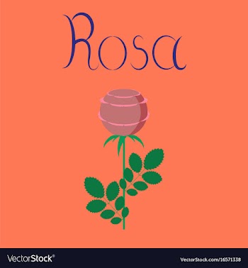 Flat on background plant rosa vector image
