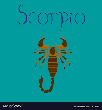 Flat on background Scorpio vector image