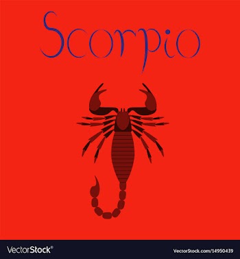 Flat on background scorpio vector image