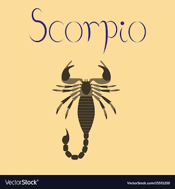 Flat on background scorpio vector image