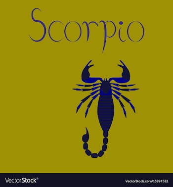 Flat on background scorpio vector image