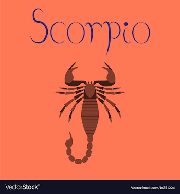 Flat on background scorpio vector image