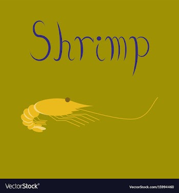 Flat on background sea shrimp vector image