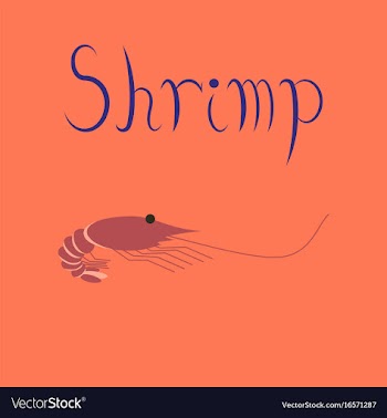 Flat on background sea shrimp vector image