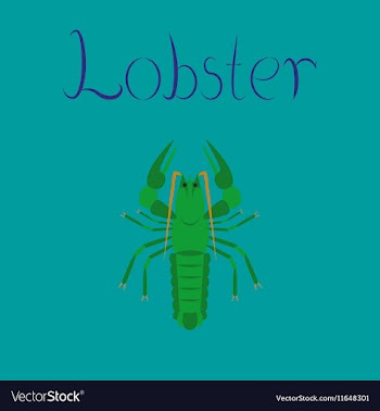 Flat on background seafood lobster vector image
