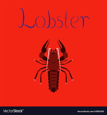 Flat on background seafood lobster vector image