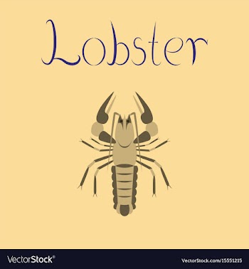 Flat on background seafood lobster vector image