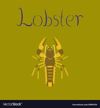 Flat on background seafood lobster vector image
