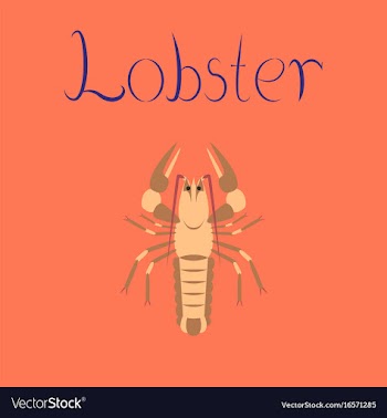 Flat on background seafood lobster vector image
