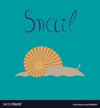Flat on background snail vector image