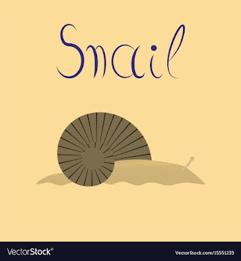 Flat on background snail vector image