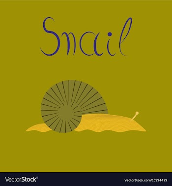 Flat on background snail vector image