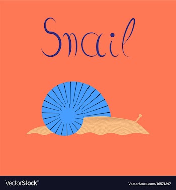 Flat on background snail vector image