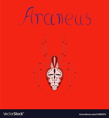 Flat on background spider araneus vector image