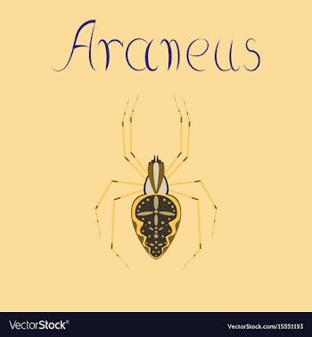 Flat on background spider araneus vector image