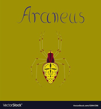 Flat on background spider araneus vector image