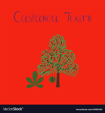 Flat on background tree castanea vector image