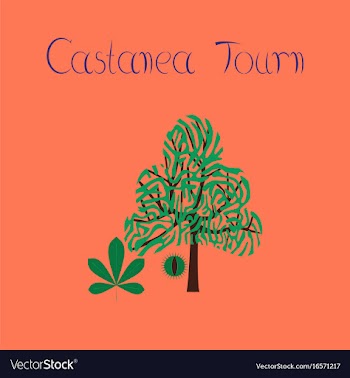 Flat on background tree castanea vector image