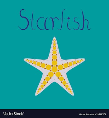Flat on background tropical starfish vector image