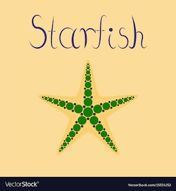 Flat on background tropical starfish vector image