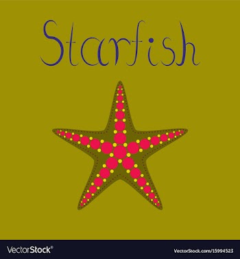 Flat on background tropical starfish vector image