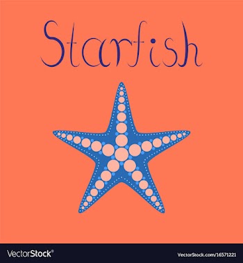 Flat on background tropical starfish vector image