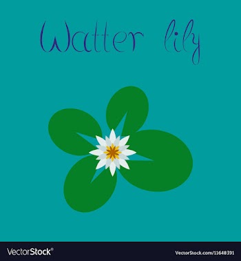 Flat on background water lily vector image