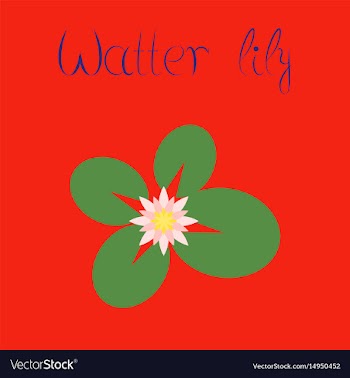 Flat on background water lily vector image