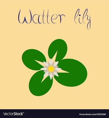 Flat on background water lily vector image