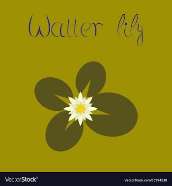 Flat on background water lily vector image