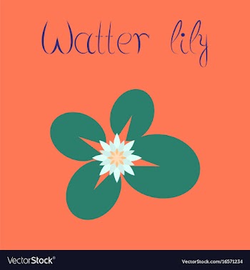Flat on background water lily vector image