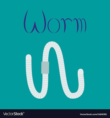 Flat on background worm vector image