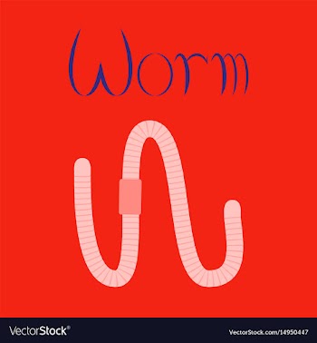 Flat on background worm vector image