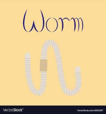 Flat on background worm vector image