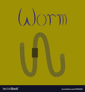 Flat on background worm vector image