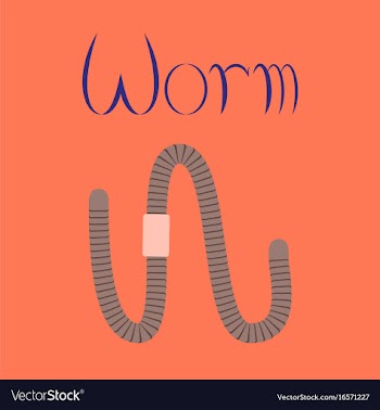 Flat on background worm vector image