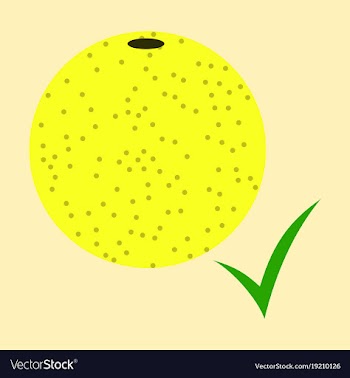Flat orange whole of orange vector image