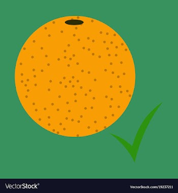 Flat orange whole of orange vector image