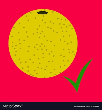Flat orange whole of orange vector image