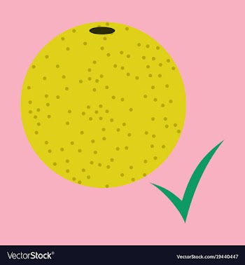 Flat orange whole of orange vector image