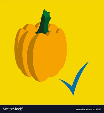Flat pumpkin autumn halloween or thanksgiving vector image