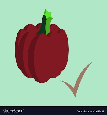 Flat pumpkin autumn halloween or thanksgiving vector image