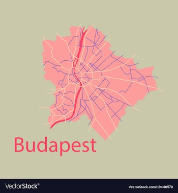 Flat scheme of the budapest hungary city plan of vector image