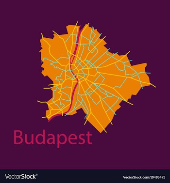 Flat scheme of the budapest hungary city plan of vector image