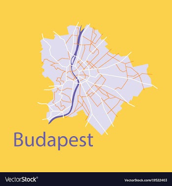 Flat scheme of the budapest hungary city plan of vector image