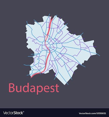 Flat scheme of the budapest hungary city plan of vector image
